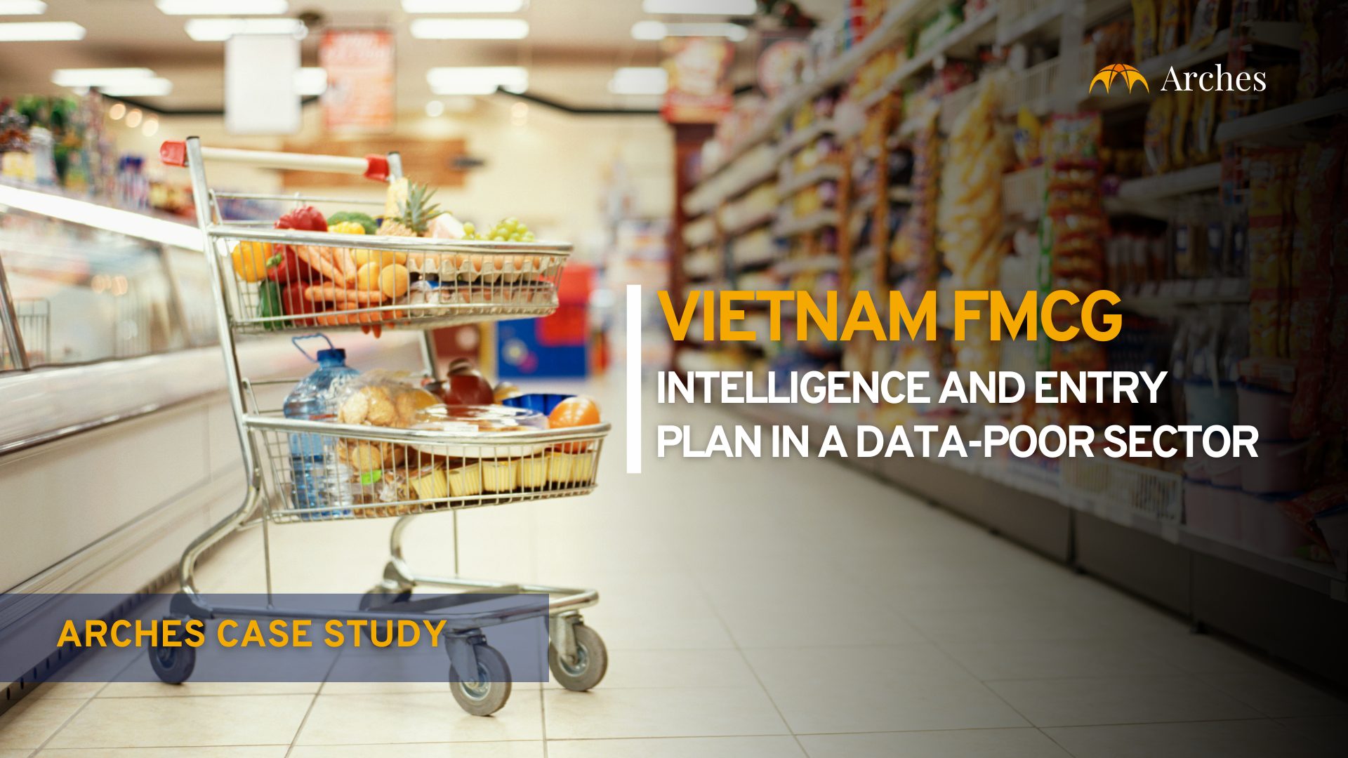 Vietnam FMCG's niche sector - market research under scarce data?